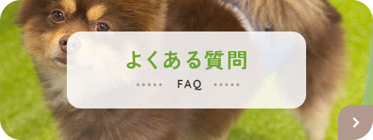 mainbn3