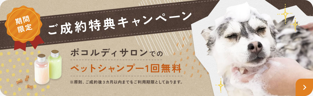 naotestu02-03