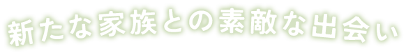 新たな家族との素敵な出会い