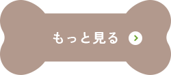 もっと見る