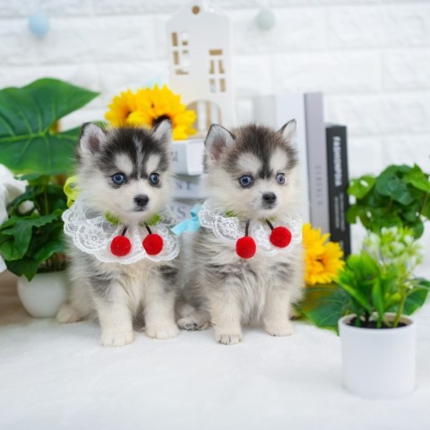 BLOG はじめました。サムネイル